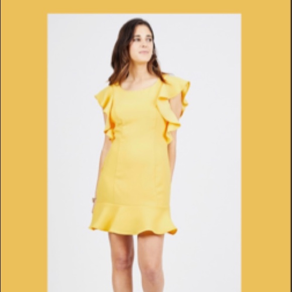 BCBGgeneration ruffle sleeve mini dress